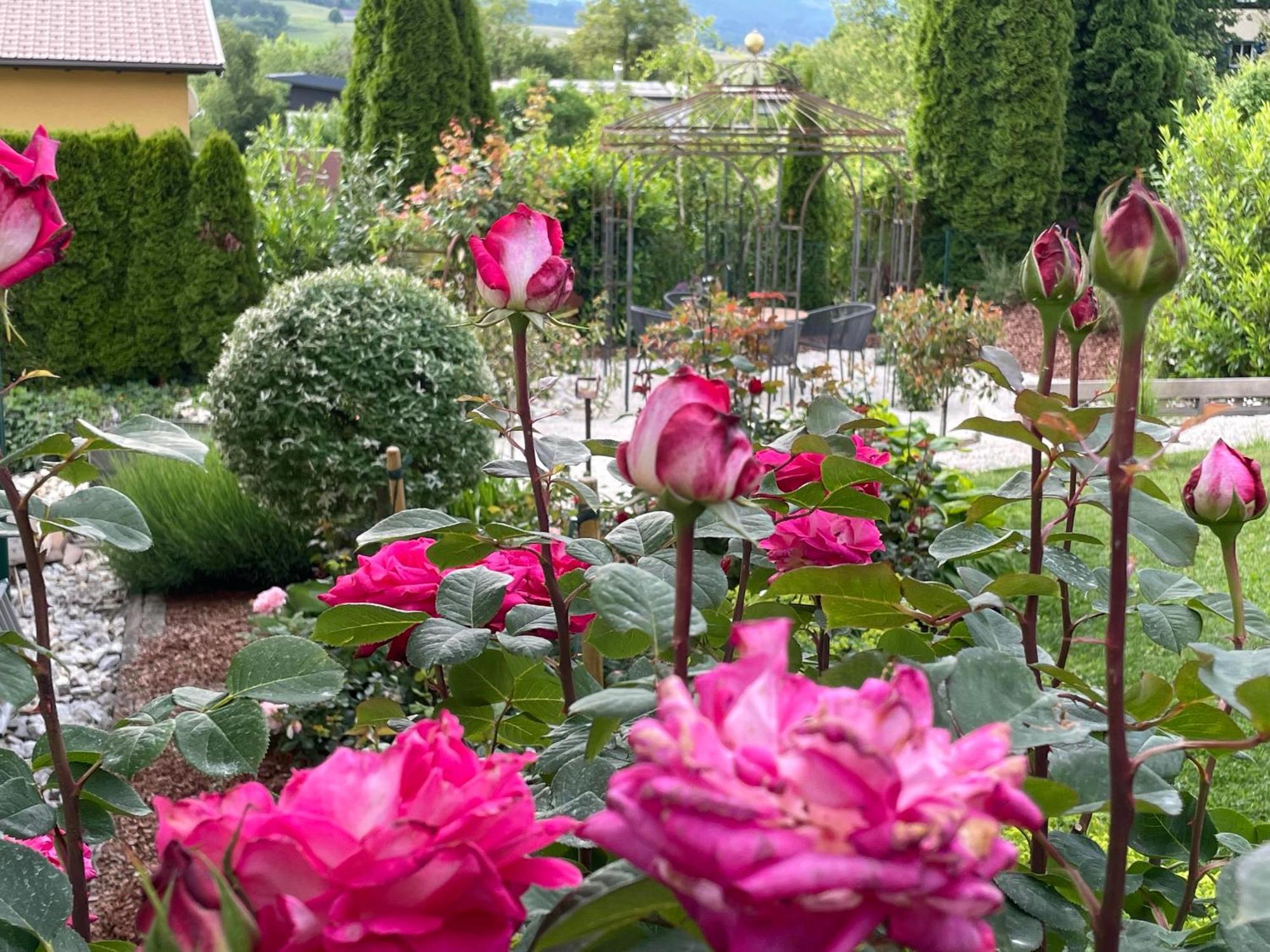 Bed And Breakfast Mittelkaernten Althofen  Ngoại thất bức ảnh
