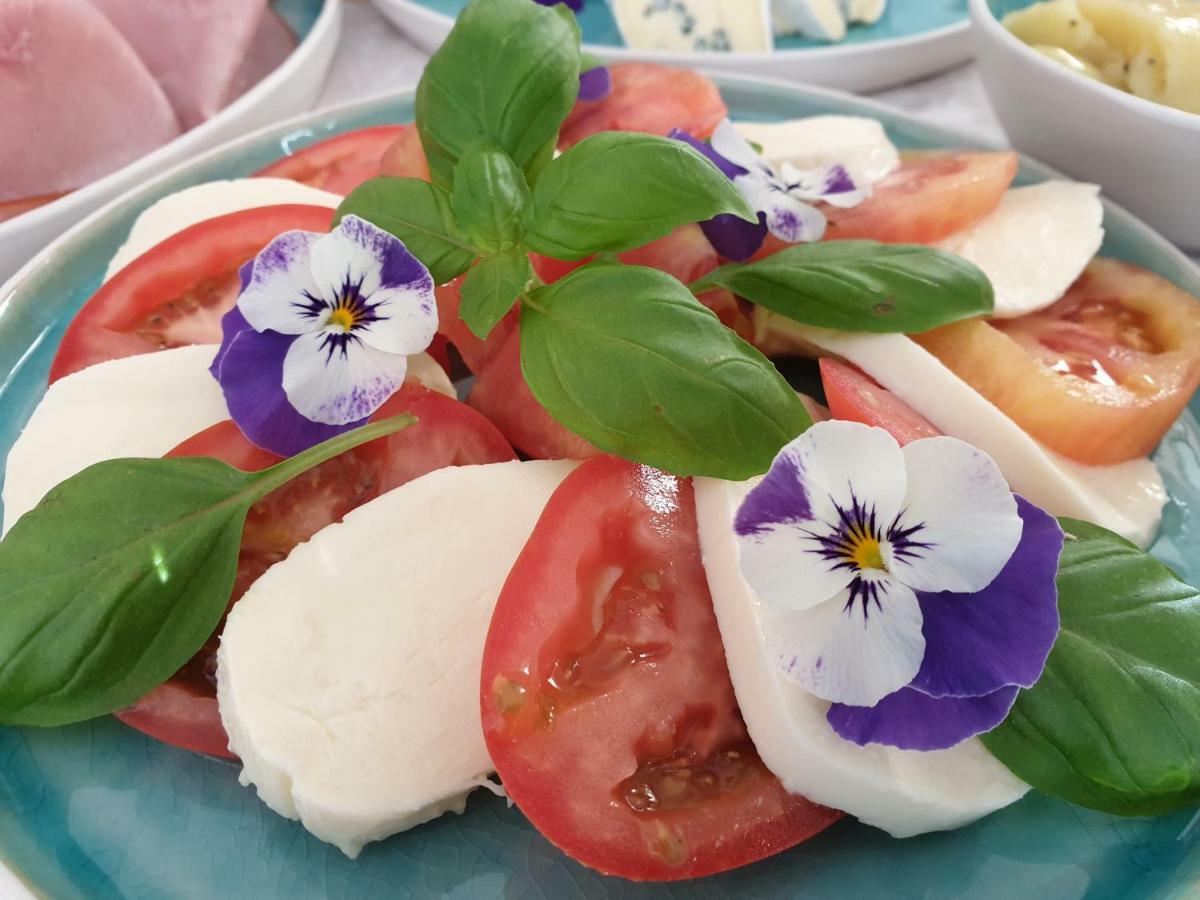 Bed And Breakfast Mittelkaernten Althofen  Ngoại thất bức ảnh